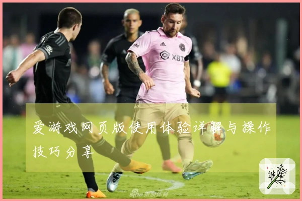 爱游戏网页版使用体验详解与操作技巧分享